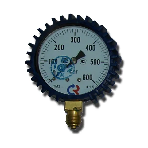 Манометр в защитном чехле 0-600 Bar 1/4" 2